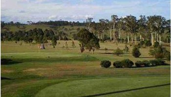 dungog Golf-Club